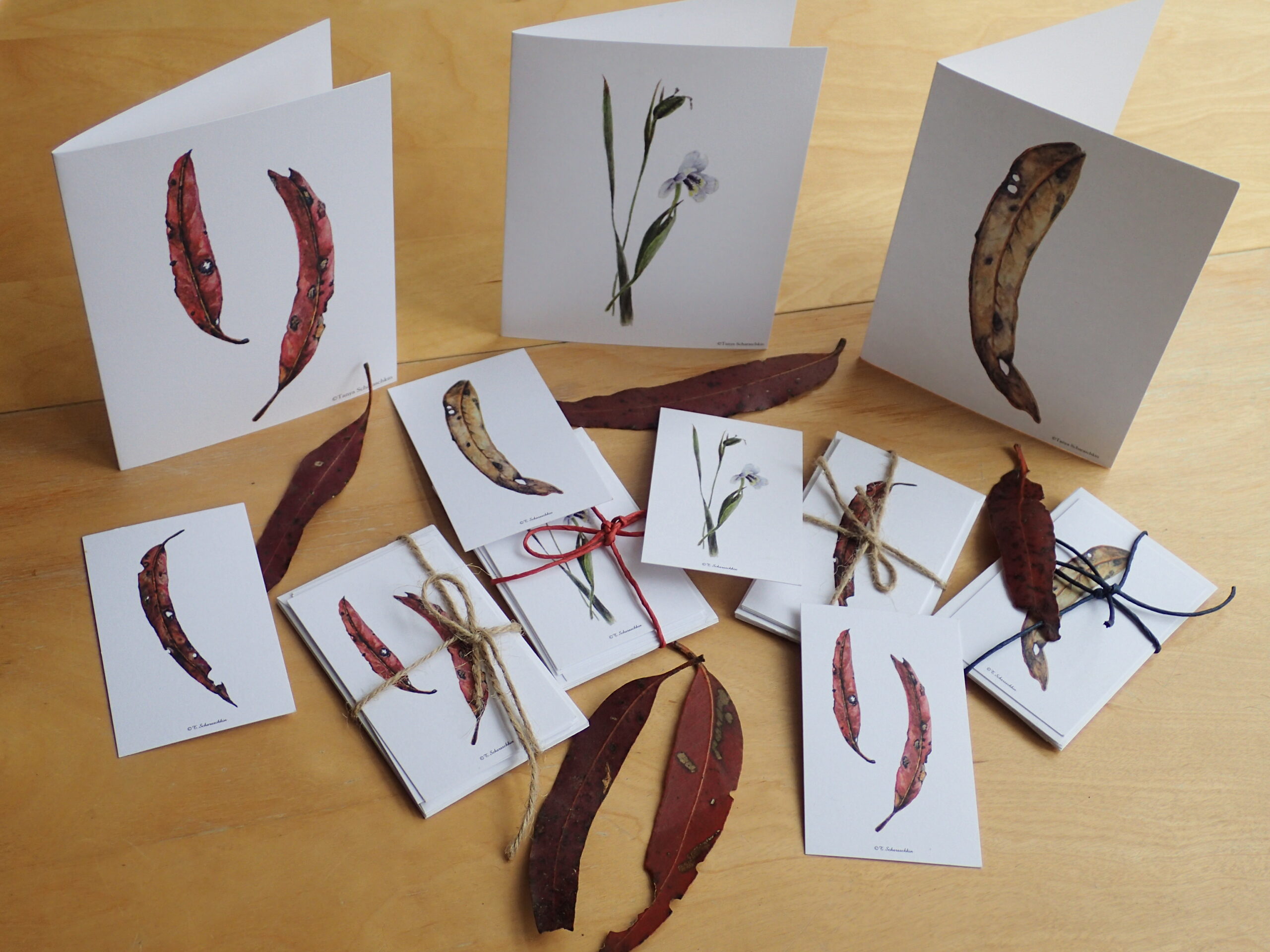 Gum leaf paintings on greeting cards by Tanya Scharaschkin in her Artist Profile with Art Trails Tasmania