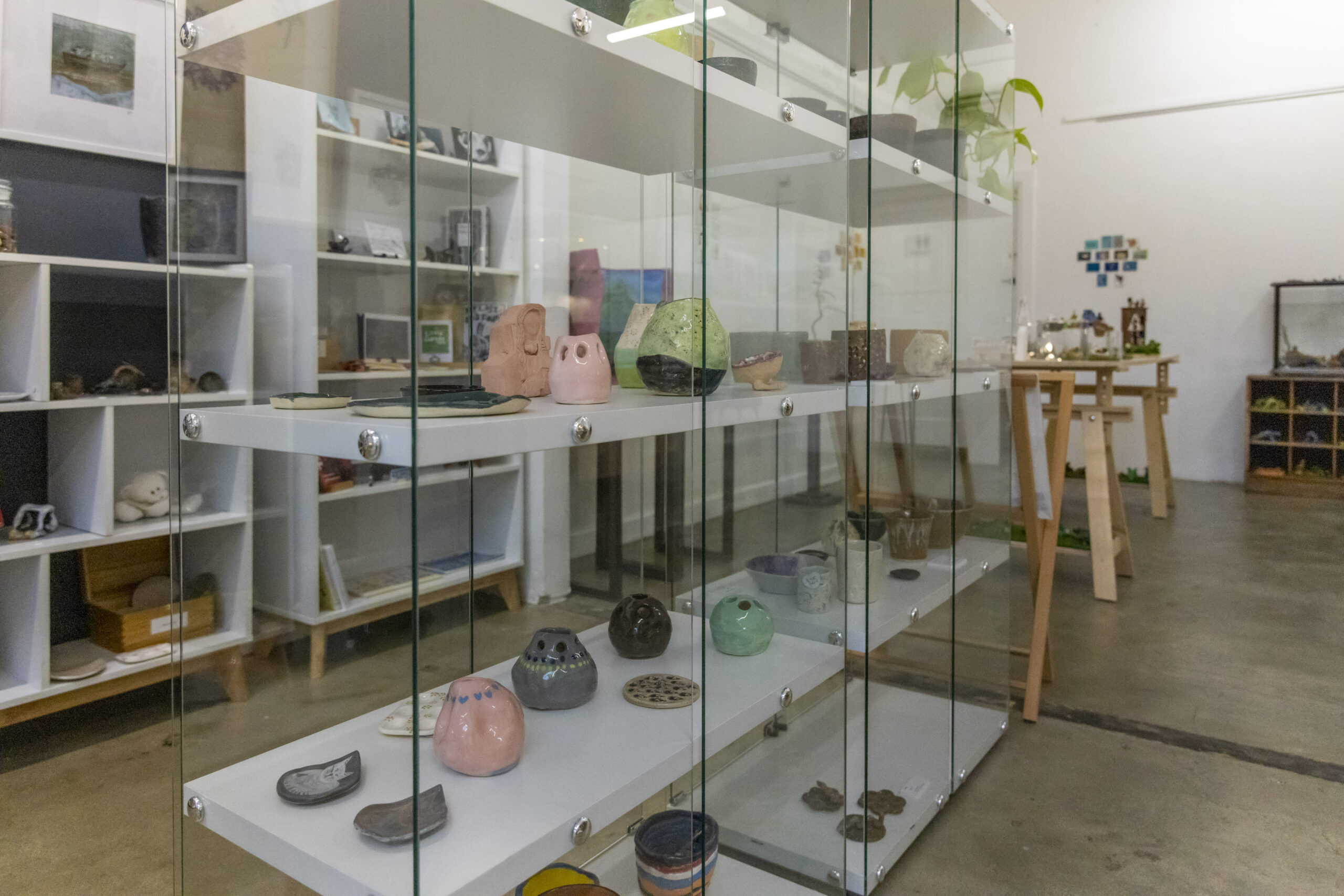 Image of the wonderful Artosaurus gallery shop space as part of their Artist Profile with Art Trails Tasmania