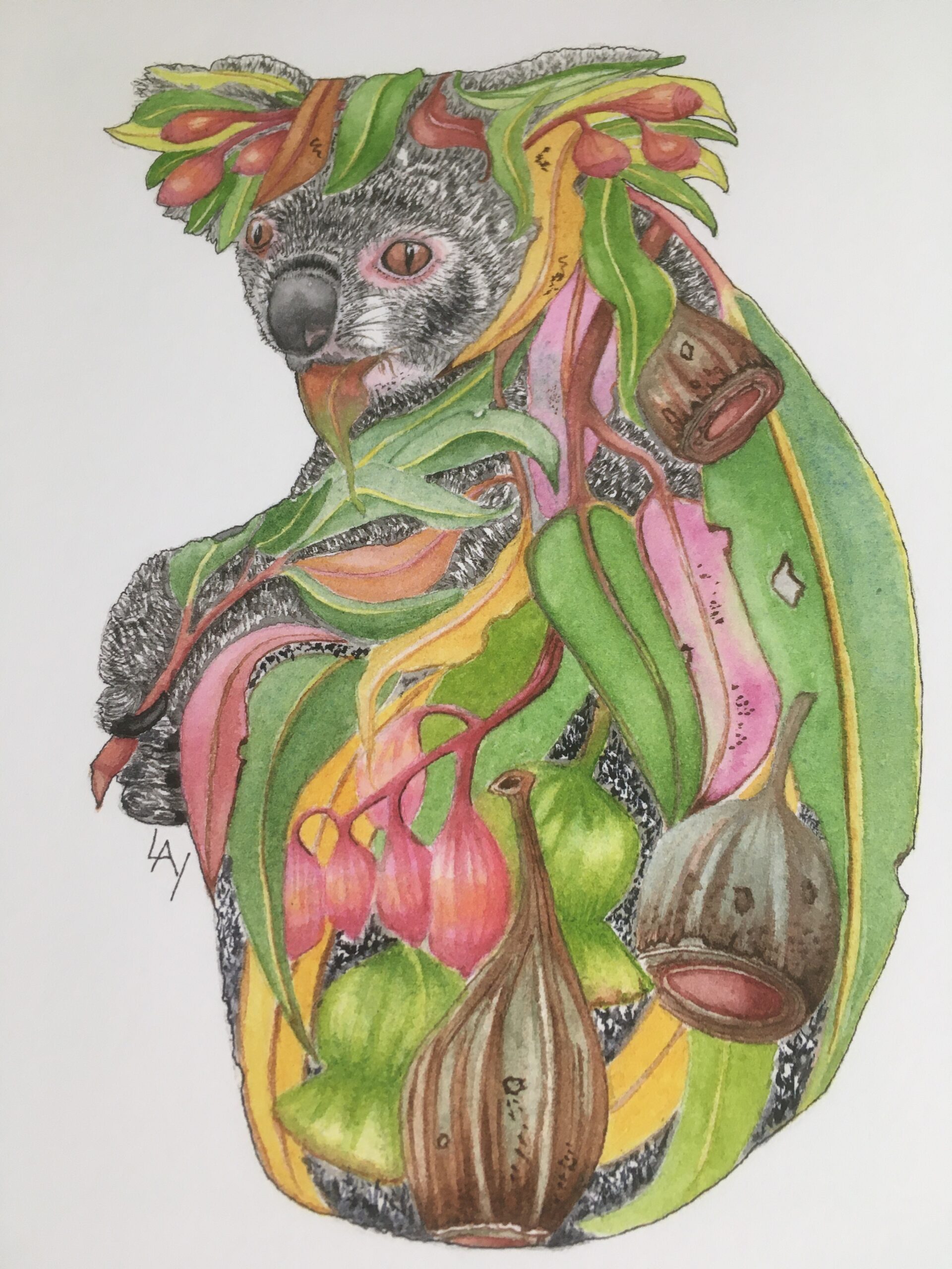 Image of a koala wrapped in gum leaves and nuts with Lynda Young Artist Profile with Art Trails Tasmania