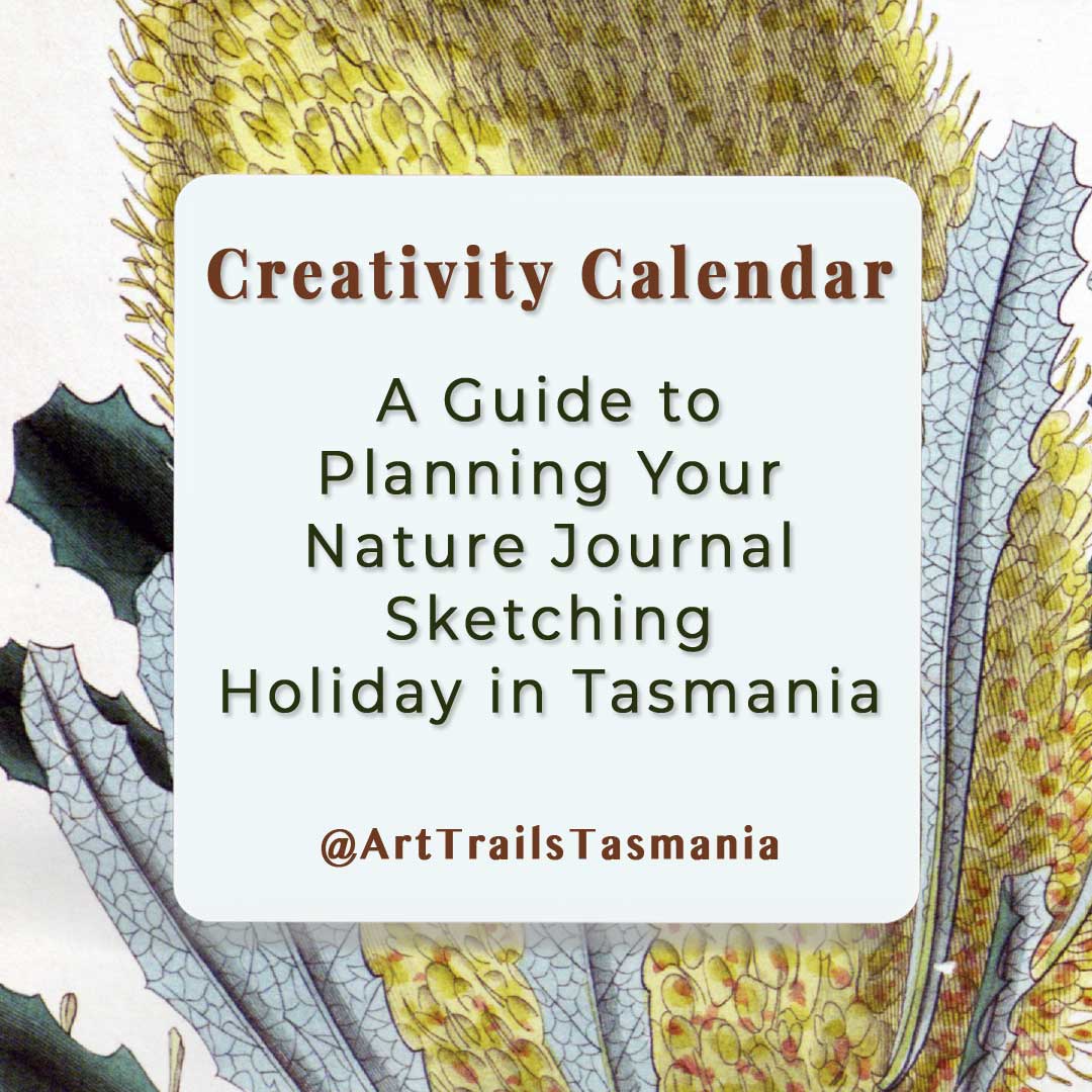 Image shows a background of a vintage botanical illustration of a yellow banksia that is endemic to Tasmania with the text reading Creativity Calendar A Guide to Planning Your Nature Journal Sketching Holiday in Tasmania