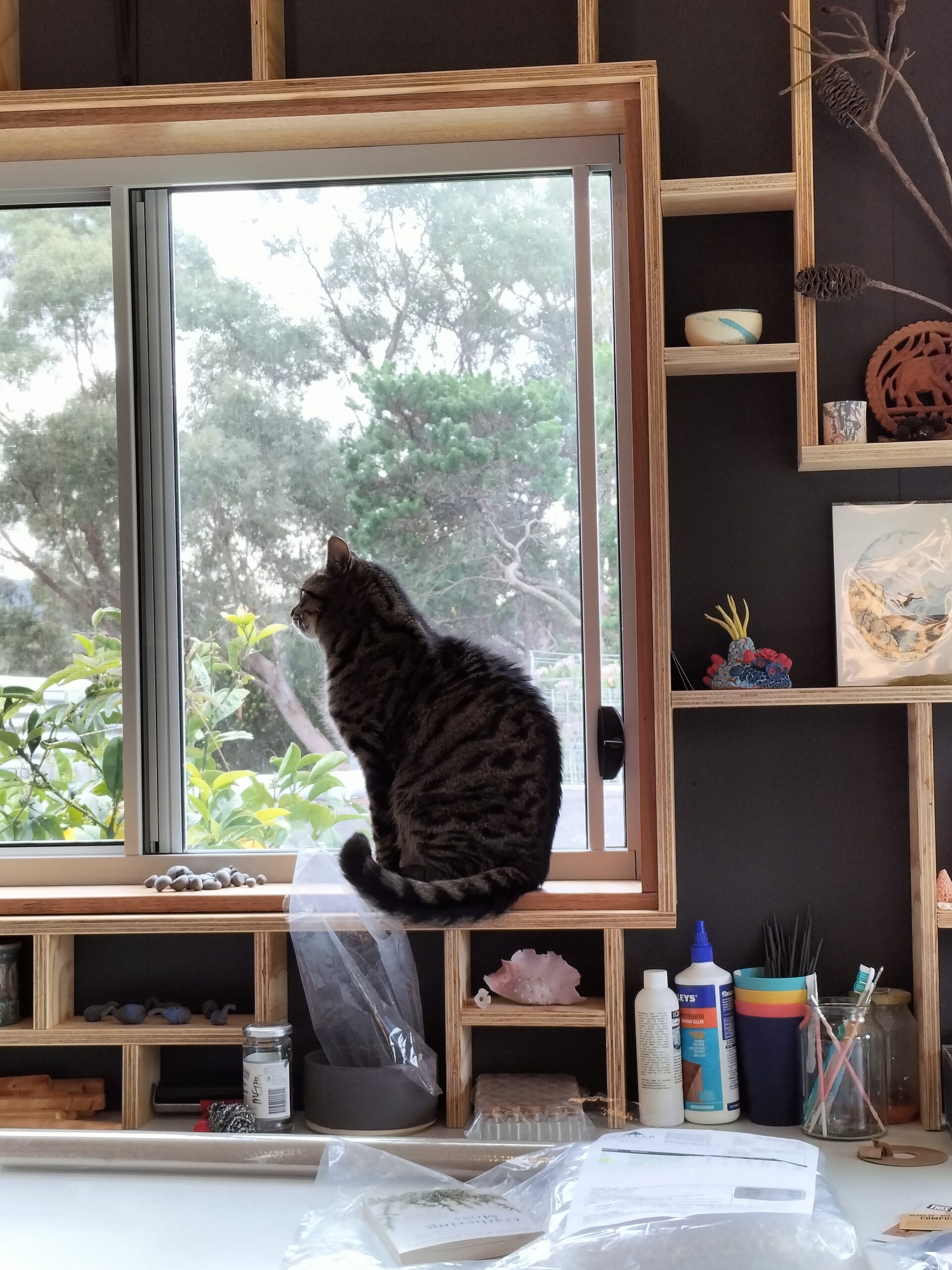 Image shows the studio art therapy cat by Christie Lange in her Artist Profile Art Trails Tasmania