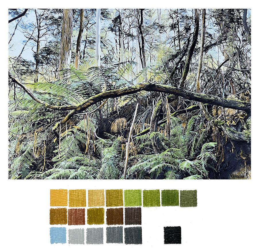 Image shows a Tasmanian forest with a colour chart done in coloured pencil for the Art Retreat Unlock Colour DNA by Richard Klekociuk Art Trails Tasmania