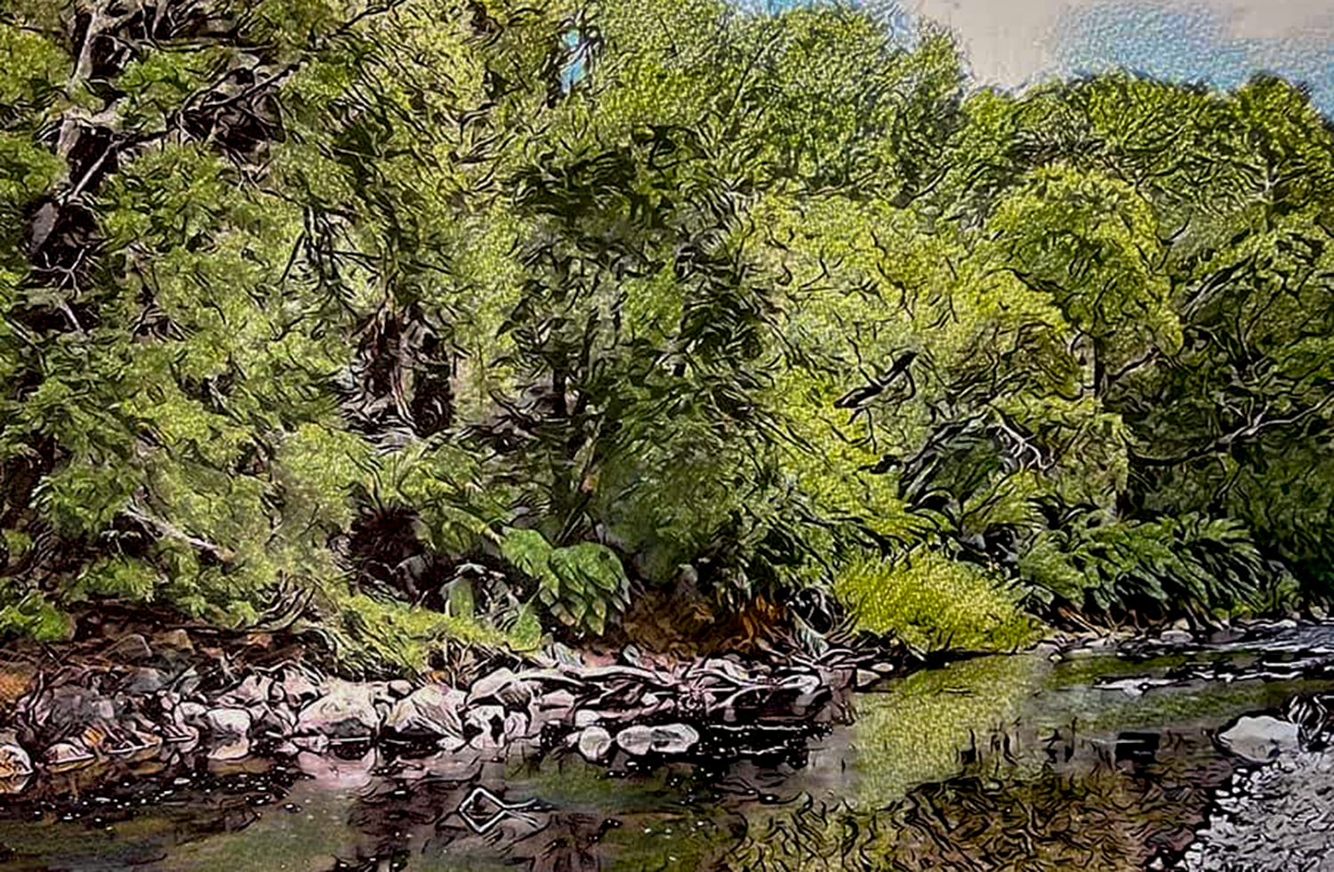 Image shows a Tasmanian forest and river done in coloured pencil for the Art Retreat Unlock Colour DNA by Richard Klekociuk Art Trails Tasmania
