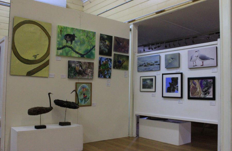 Art exhibition at Bruny Island Bird festival Profile story with Art Trails Tasmania