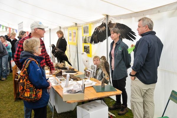 Bruny Island Bird festival Profile story with Art Trails Tasmania