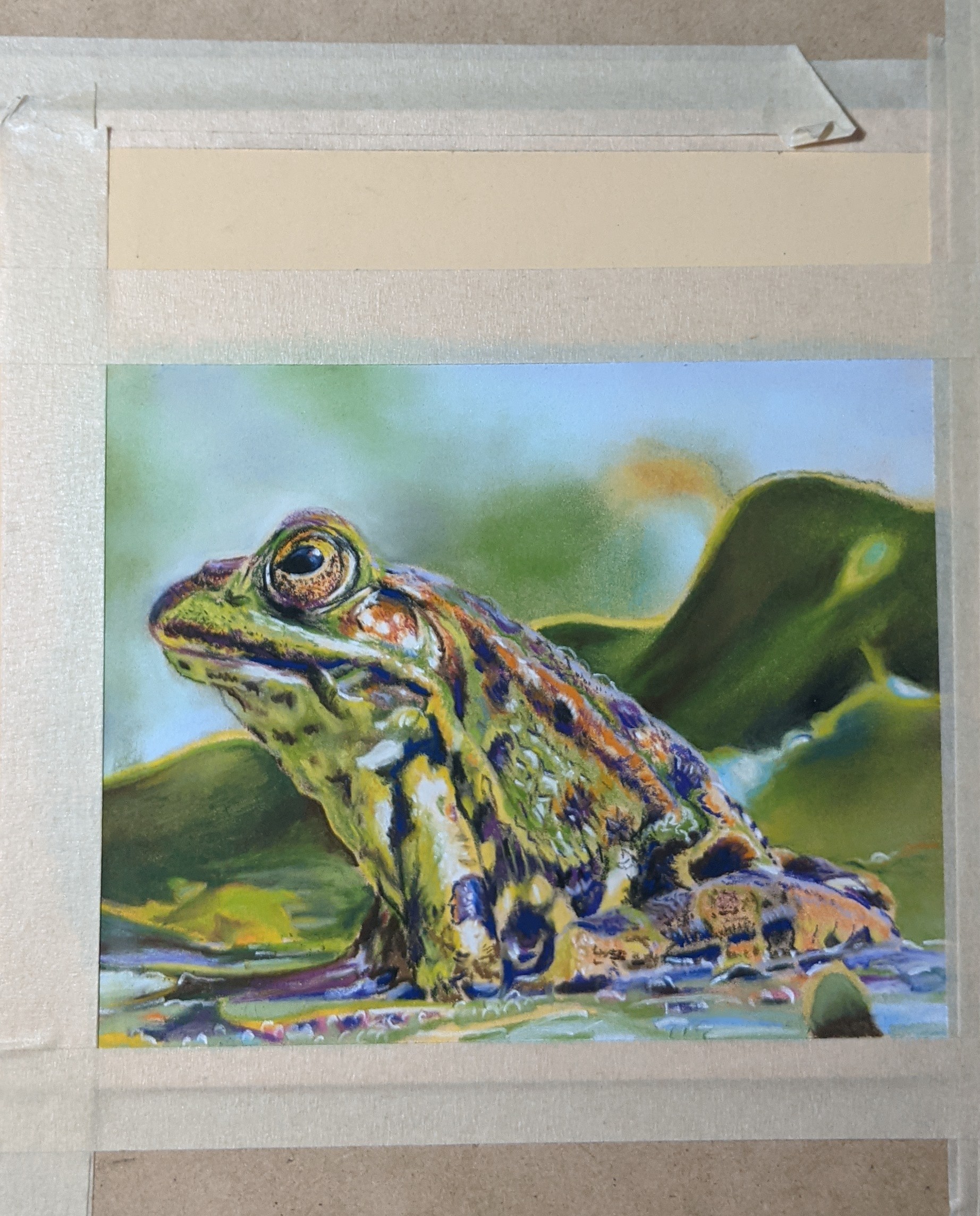 The image shows a pastel rendered image of a frog contemplating life taped to an art board by Dianne Horvath Art Trails Tasmania