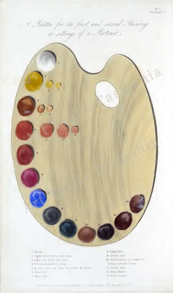 This image shows a vintage illustration of an artist's kidney palette with 19 colours in oil paint and is for the Art Trails Tasmania digital print shop
