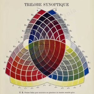 This image shows a vintage French illustration of a three lobed colour diagram of the primary colours and secondary colours as part of a treatise on colour theory and is for the Art Trails Tasmania digital print shop