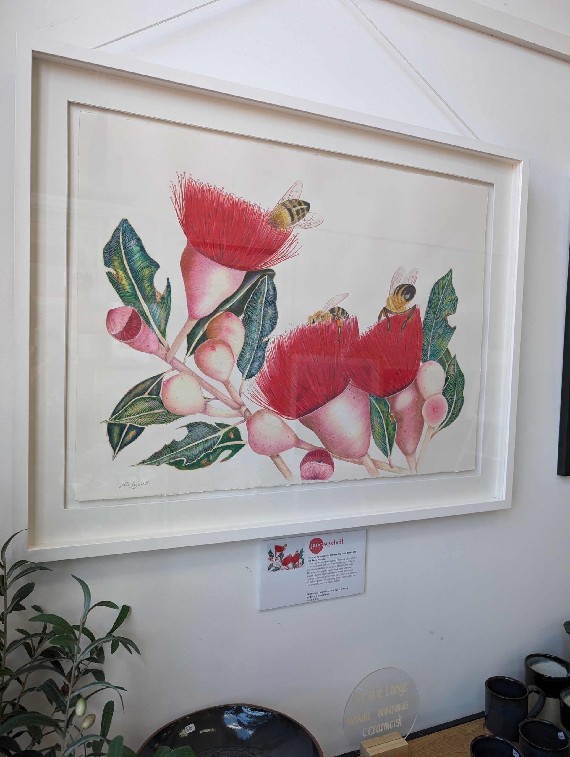 Image shows a realism colour pencil drawing of a pink peony rose with Jane Seychell for the Artist Profile Meet Jane Seychell Capturing the realism of the Moment in Time Art Trails Tasmania
