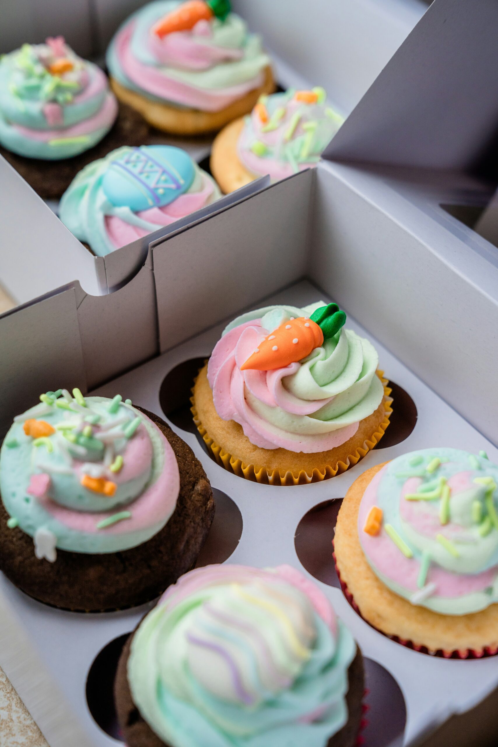 cupcakes Kids Workshops News School Holidays program Jane Seychell Gallery Art Trails Tasmania Explore Your Creativity
