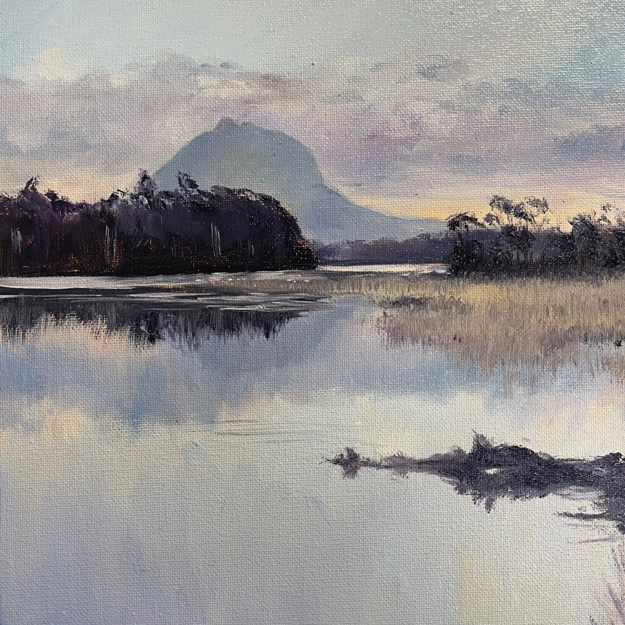 MelHillsWildArt_PelionWest from Lake Ayr. Tasmania_2024_Oilpaint_on_Canvas@300x300mm Exhibition News Art Trails Tasmania Explore Your Creativity