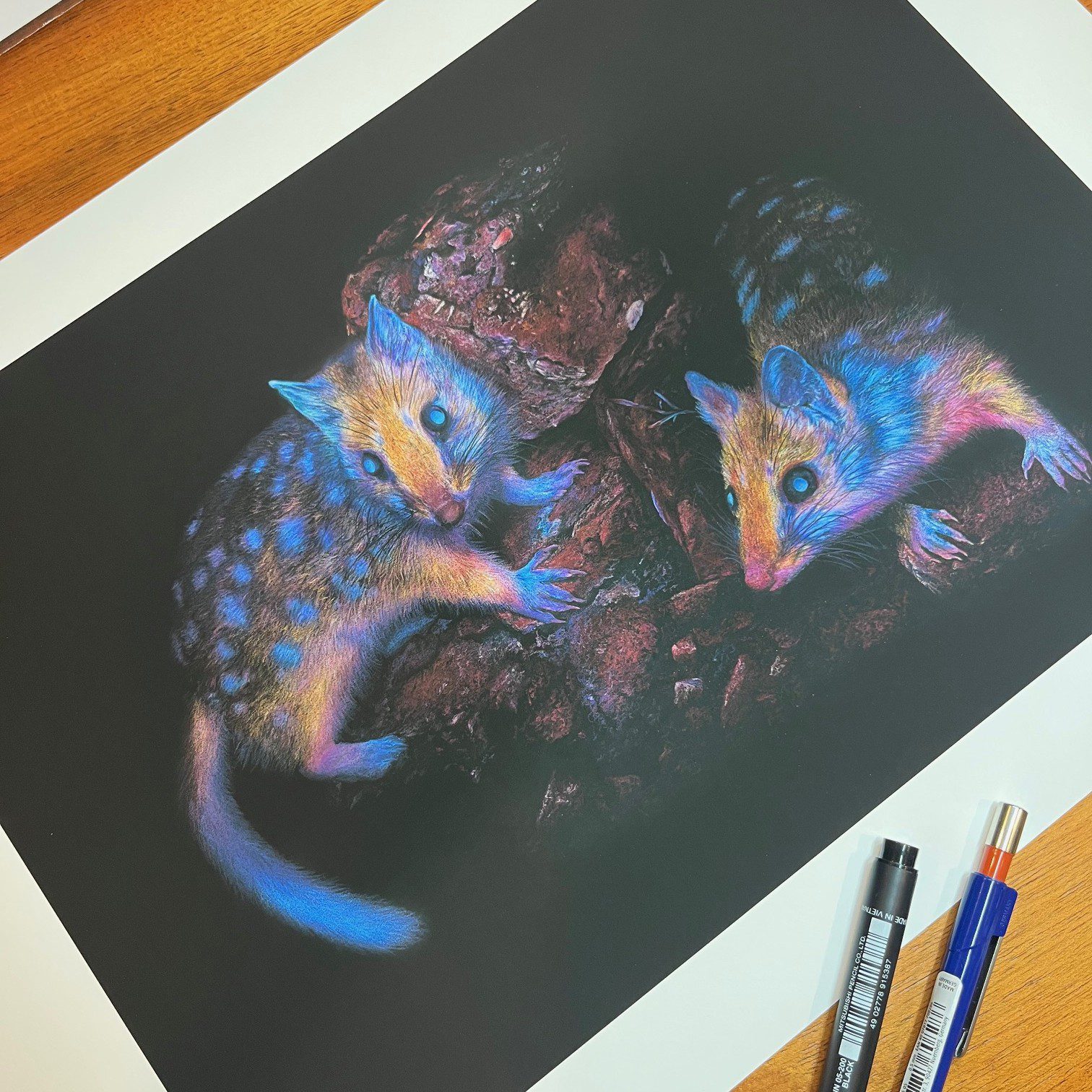 eastern-quolls-colour-drawing-print-Rachel-Harris-Art Artist Profile story with Art Trails Tasmania Explore your creativity Image shows a portrait of Al for the Artist Profile Sharing Stories and Connections Through Bold Colours and Mark-Making with Julie McDonald Art Trails Tasmania