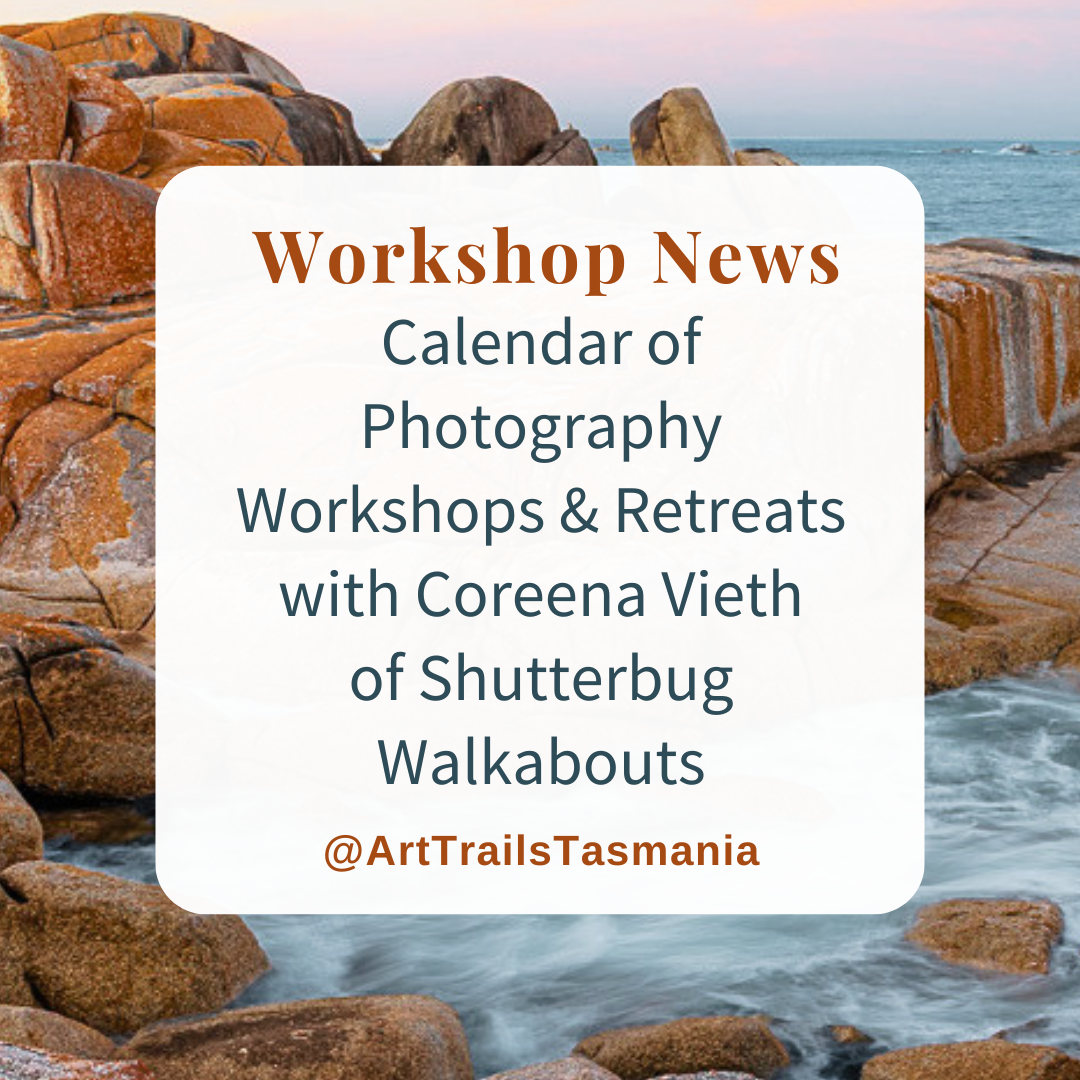 Image has a background of a colonial heritage barn at Quamby Estate with the text reading Workshop News Calendar of Art Workshops and Classes with Artist in Residence Julie McDonald Art Trails Tasmania