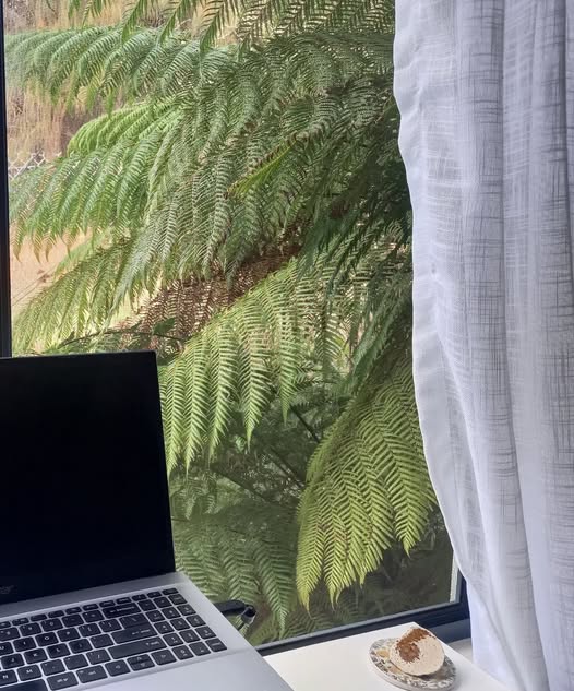 Image shows a verdant landscape with rolling green hills, blue sky with passing clouds for the Artist Profile Sharing Stories and Connections Through Bold Colours and Mark-Making with Julie McDonald Art Trails Tasmania
