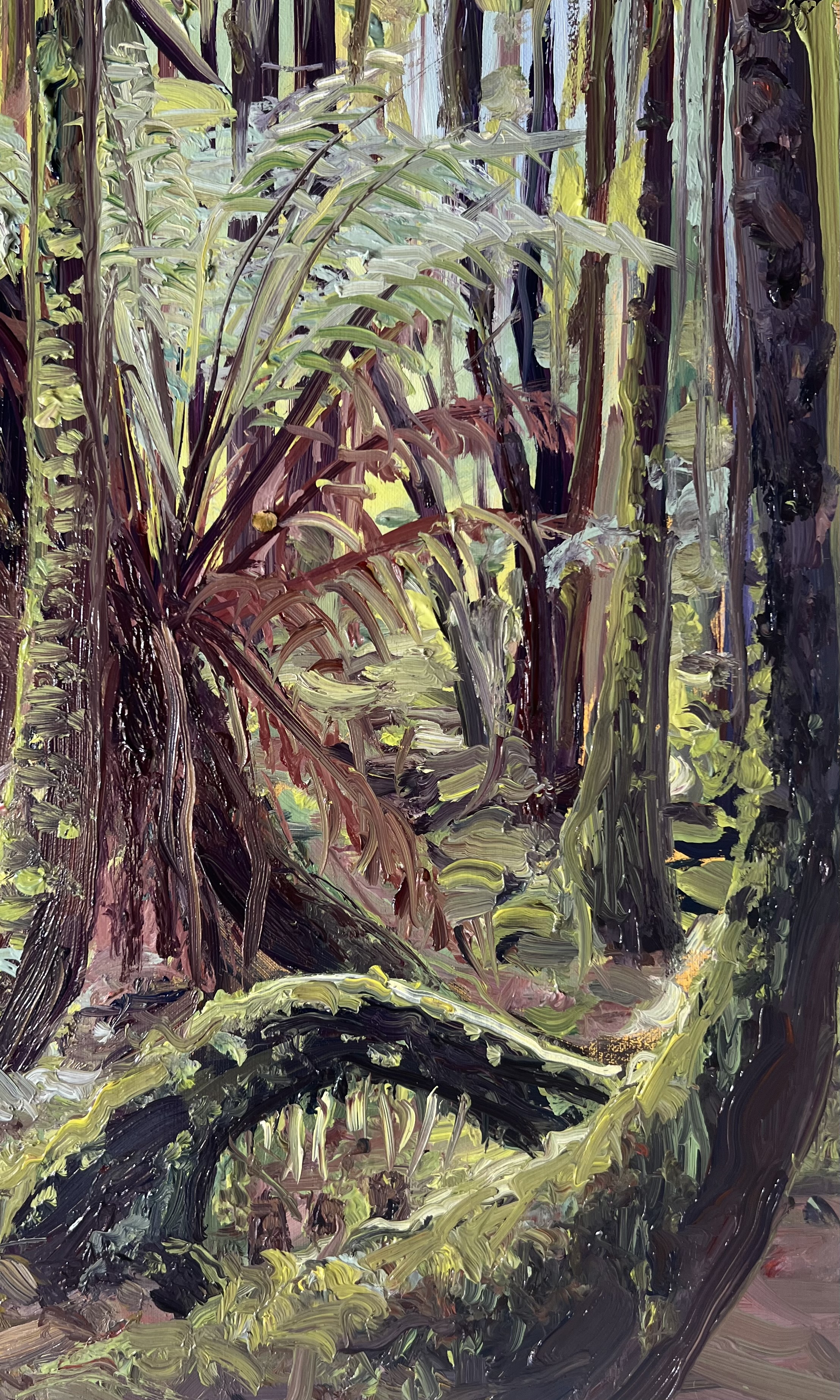 Image shows an art exhibition for the text reading Exhibition Call Out Exhibit in 2025! Announcing the Creative George Town Exhibition Call Out story with Art Trails Tasmania Explore your creativity