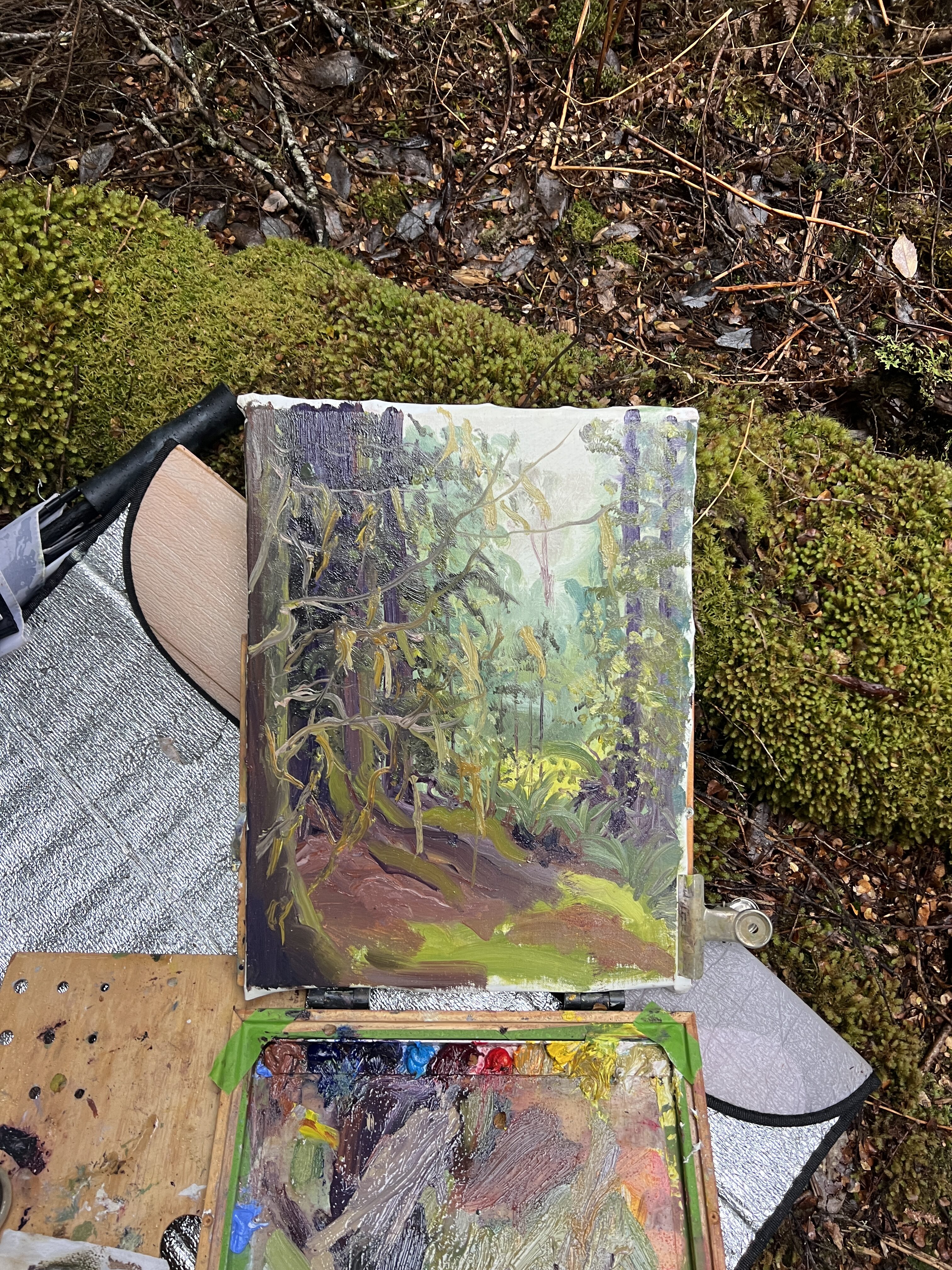 Image shows an art exhibition for the text reading Exhibition Call Out Exhibit in 2025! Announcing the Creative George Town Exhibition Call Out story with Art Trails Tasmania Explore your creativity