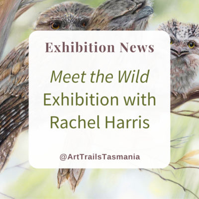 Rachel Harris ‘Meet the Wild’ Exhibition