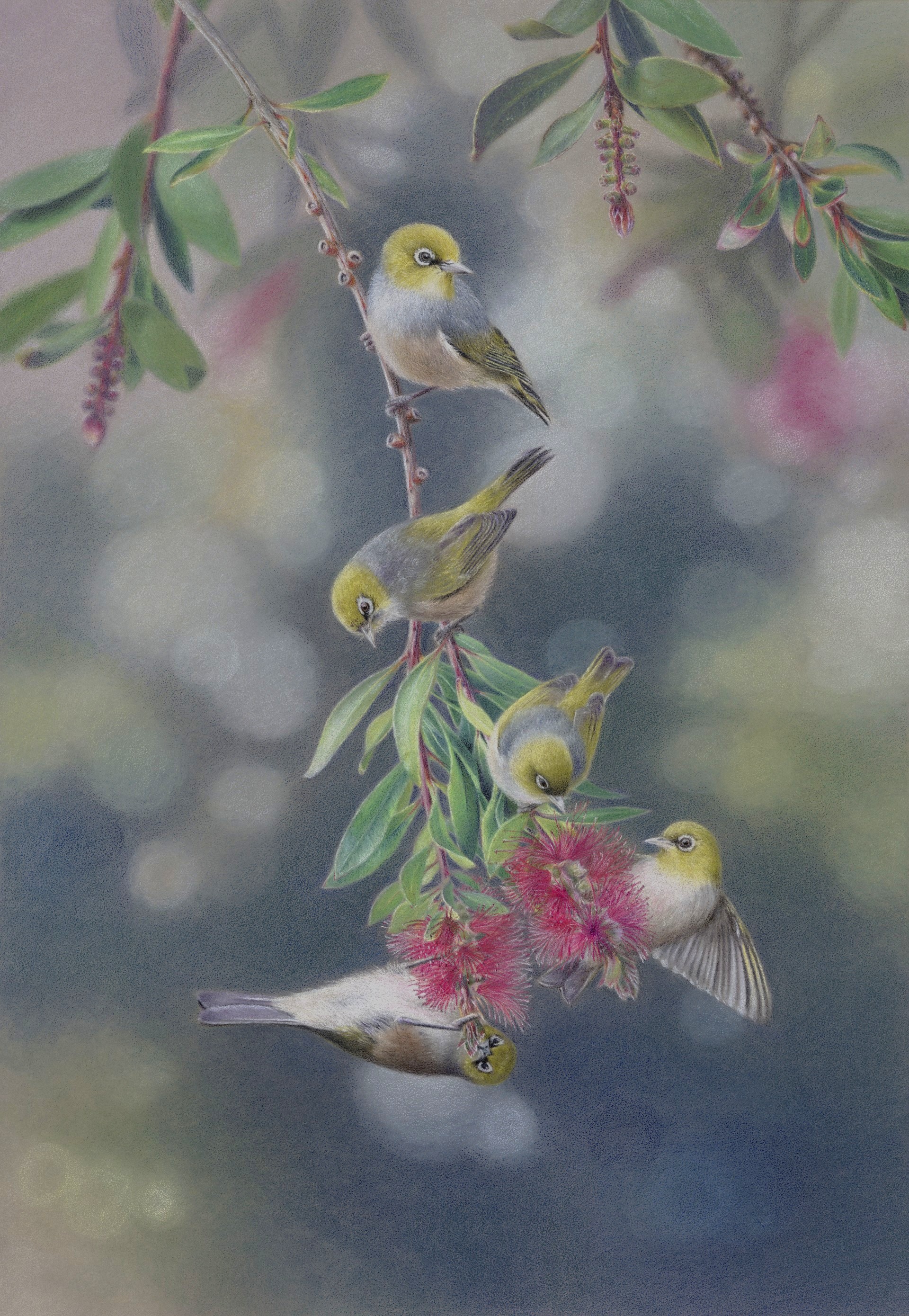 Rachel-Harris-Winter-Feast-silvereyes Art Trails Tasmania Explore your creativity