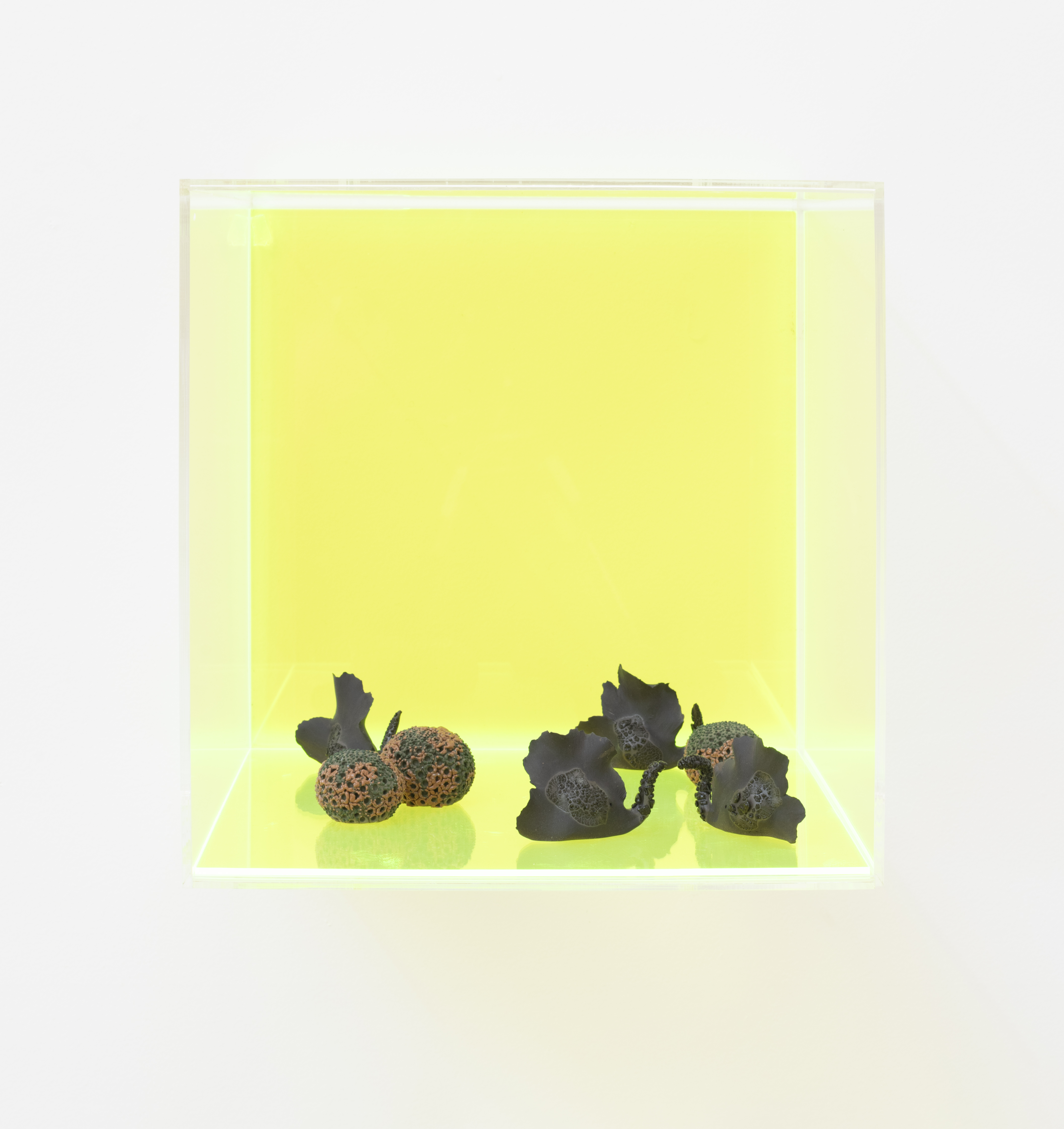 Explore the Exhibitions of Ceramic Artist Christie Lange with Art Trails Tasmania Explore Your Creativity